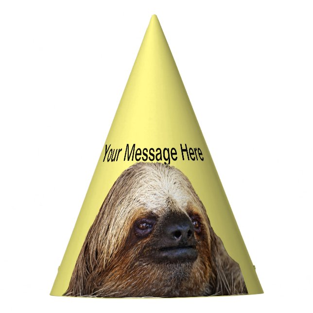 Sloth Party Hat (Front)