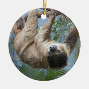 Sloth Photo Ceramic Tree Decoration