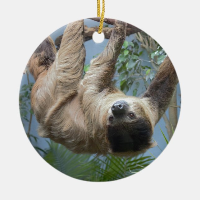Sloth Photo Ceramic Tree Decoration (Front)