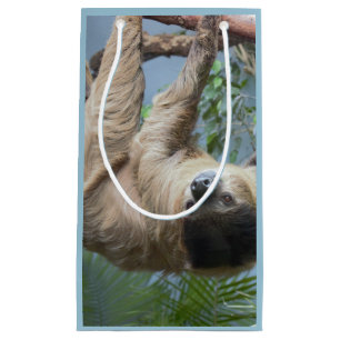 Sloth Photo Gift Bag