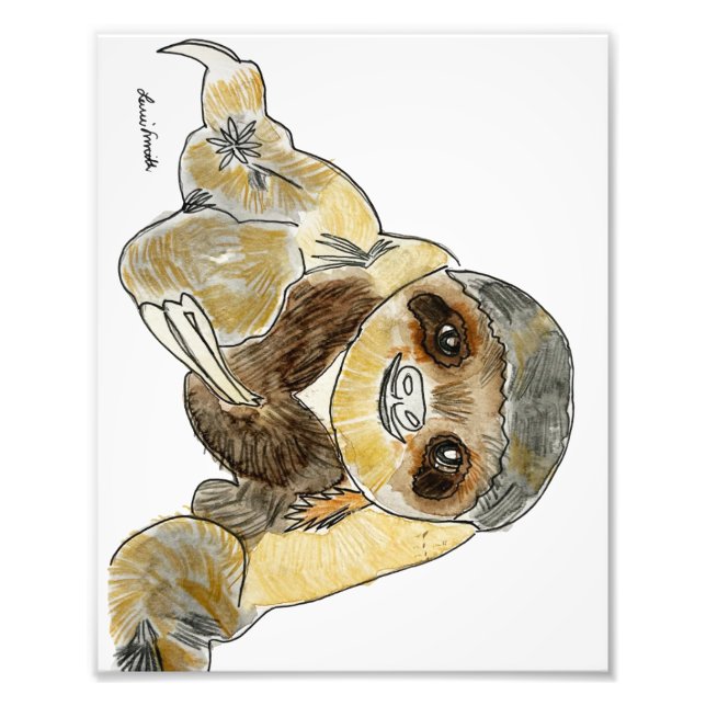 Sloth Photo Print (Front)