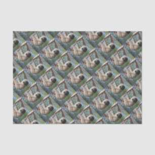 Sloth Photo Tissue Paper