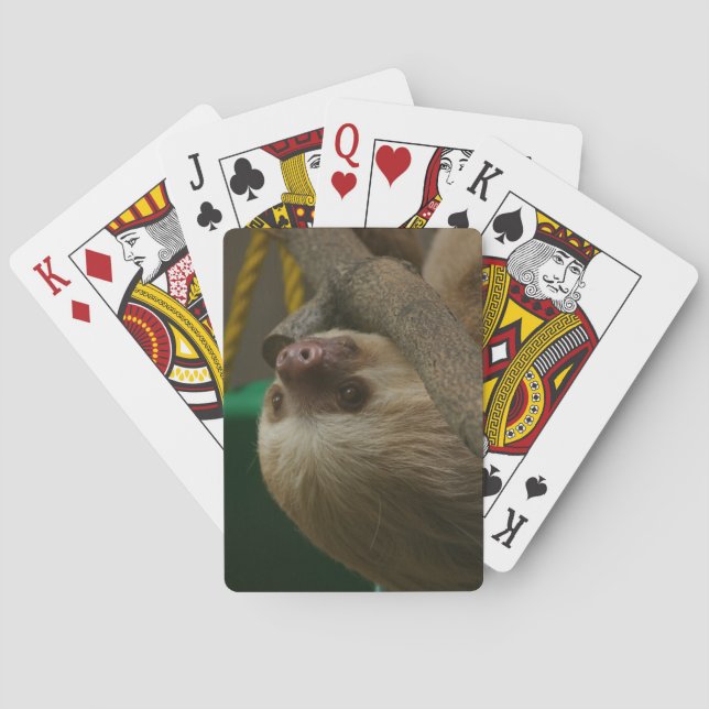 Sloth Playing Cards (Back)
