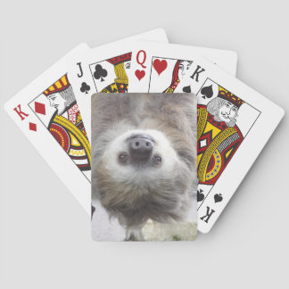 Sloth Playing Cards
