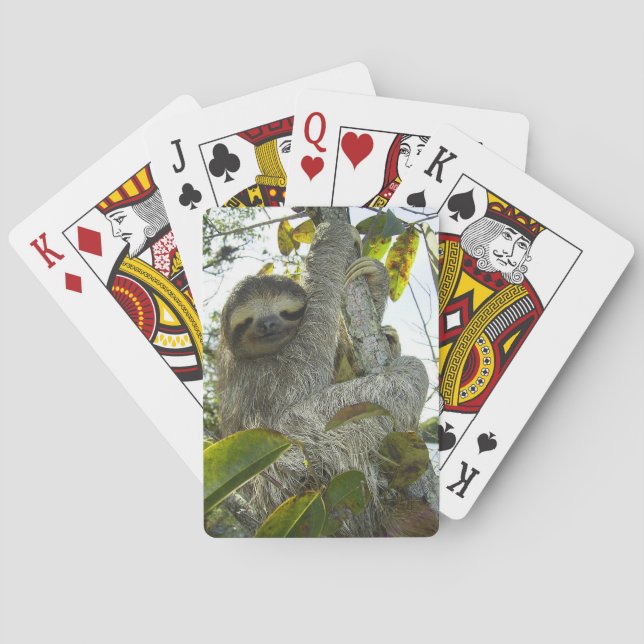 Sloth Playing Cards (Back)