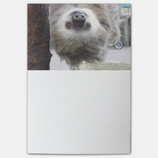 Sloth Post-It Notes