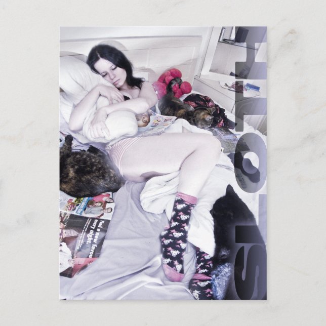 Sloth Postcard (Front)