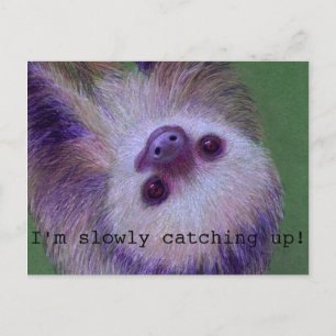 Sloth Postcard