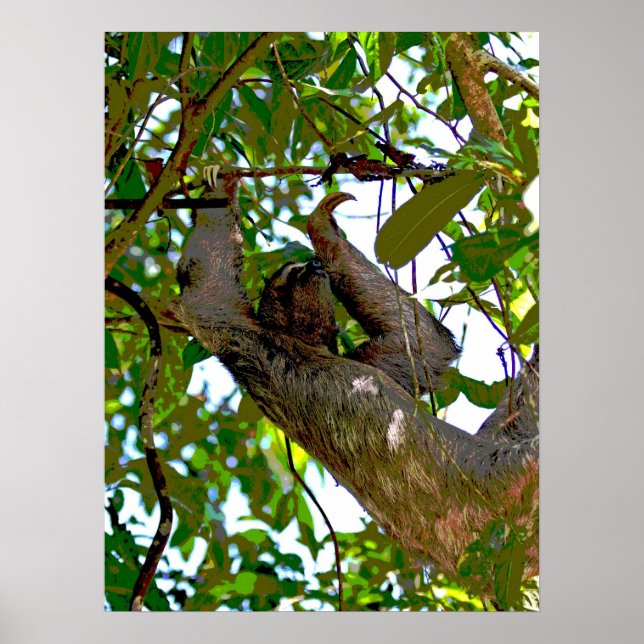 Sloth Poster (Front)