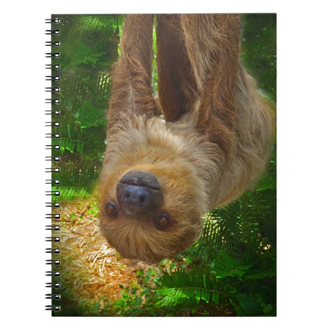 Sloth Rainforest Gifts Spiral Notebook (Front)