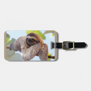 Sloth resting on tree branch luggage tag