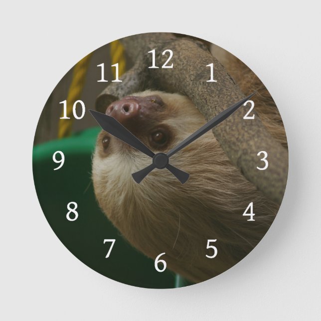 Sloth Round Clock (Front)