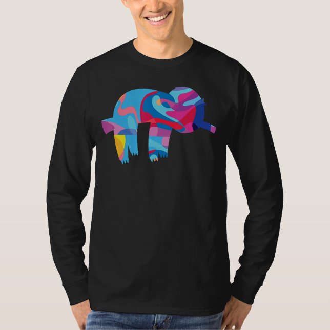 Sloth Slothes Colourful Graphic T-Shirt (Front)