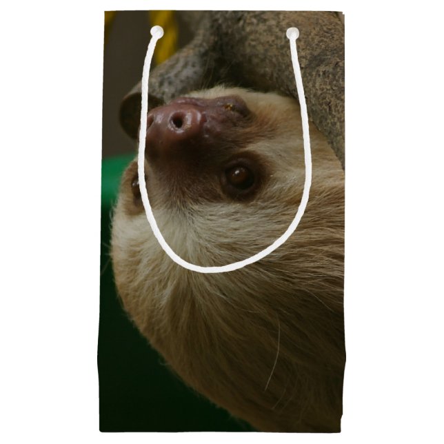 Sloth Small Gift Bag (Front)