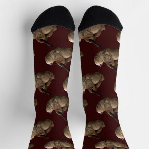Sloth Socks