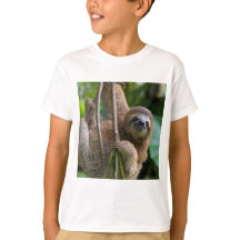 Sloth t-shirt for your child