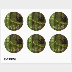 Sloth Tennis Player With Text in the Rainforest Classic Round Sticker