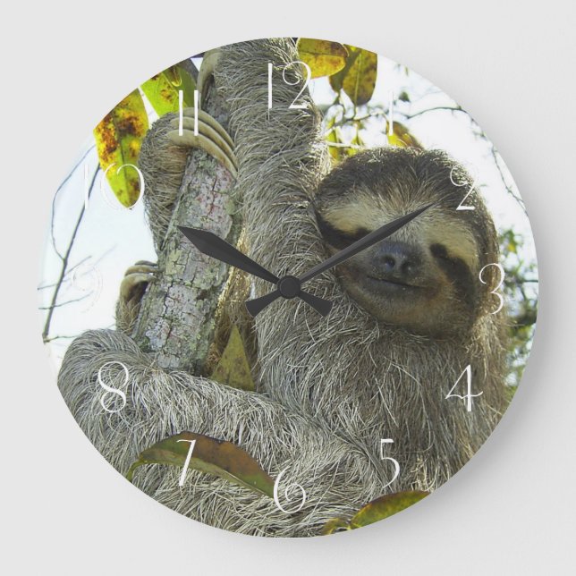Sloth Up A Tree Large Clock (Front)