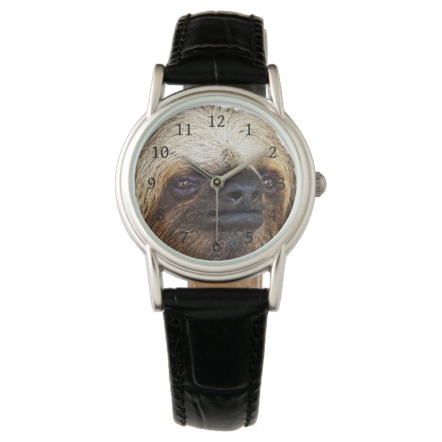 Sloth Watch (Front)