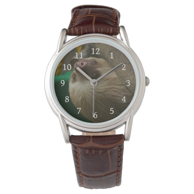 Sloth Watch (Front)