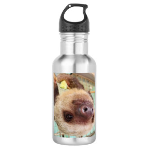 Sloth Water Bottle