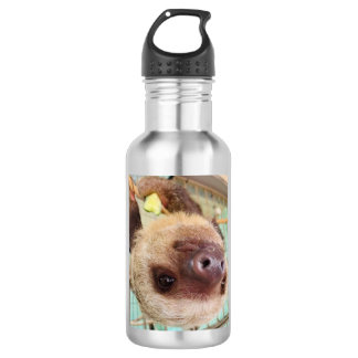 Sloth Water Bottle