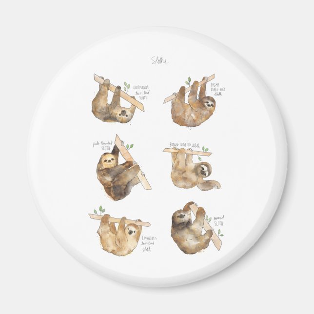 Sloths Classic  Magnet (Front)