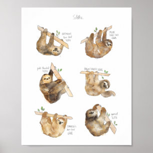 Sloths Classic  Poster