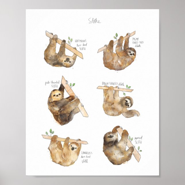 Sloths Classic  Poster (Front)