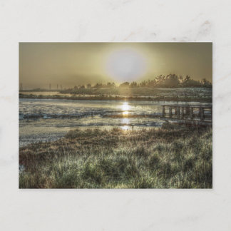 Slough at Dawn Postcard