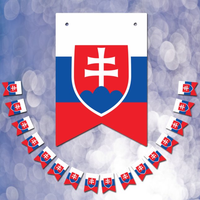 Slovakia Flag & Party Slovakia Banners / Weddings (Creator Uploaded)