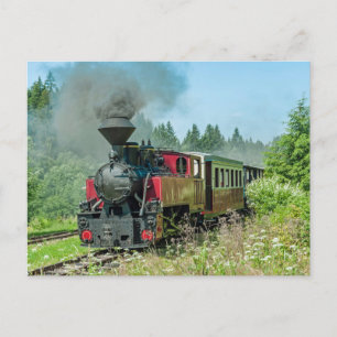 Slovakia Narrow Gauge Railroad Cierny - Balog Postcard