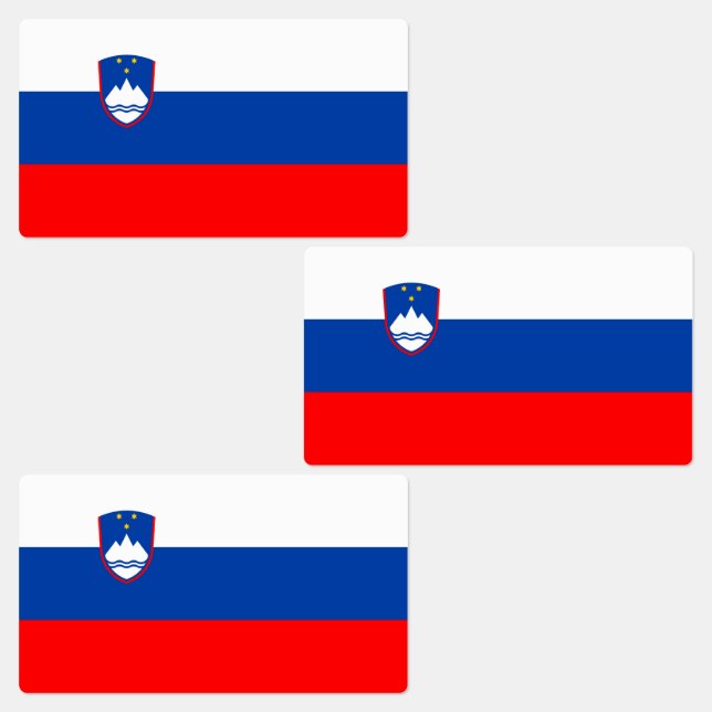 Slovenia Flag (Group)