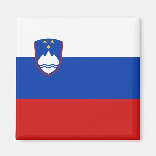Slovenia Flag Magnet (Front)