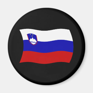 Slovenia Flag Magnet