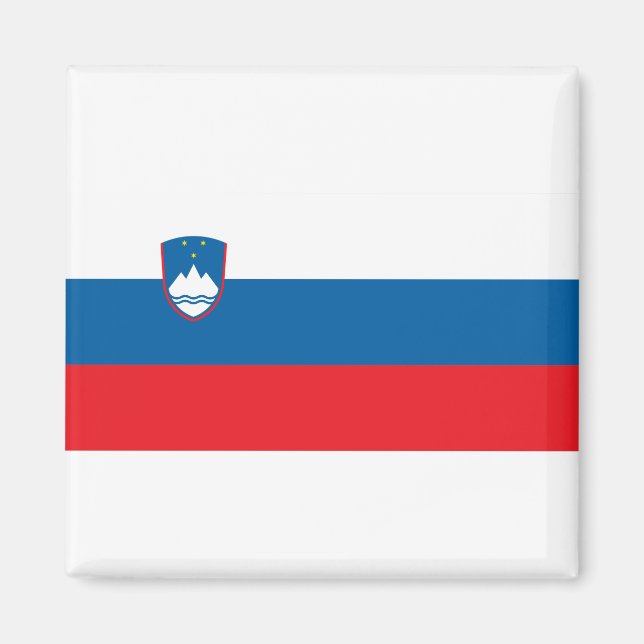 Slovenia Flag Magnet (Front)