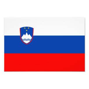 Slovenia Flag Photo Print
