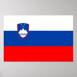 Slovenia Flag Poster