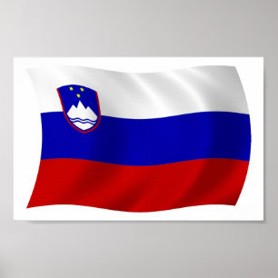 Slovenia Flag Poster Print