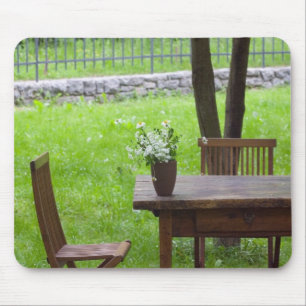 SLOVENIA, PRIMORSKA, Spodnja Idrija: Table on Mouse Pad
