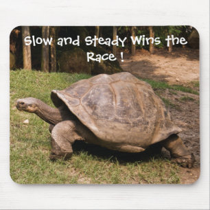 Slow and Steady Turtle Mouse Pad