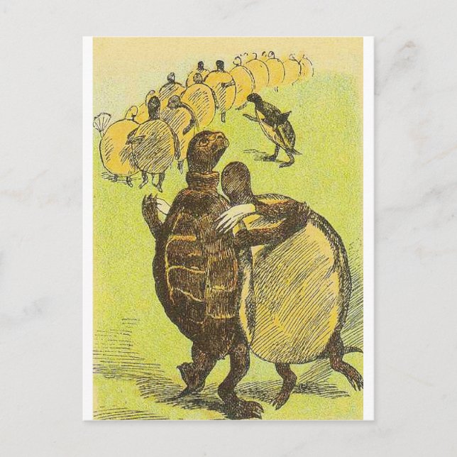 Slow Dance Turtles Postcard (Front)