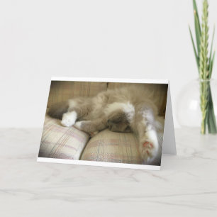 Slow Days, card