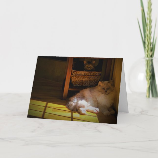 Slow Days, card (Front)