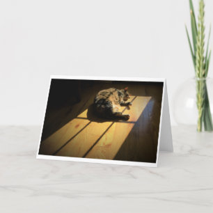 Slow Days, card