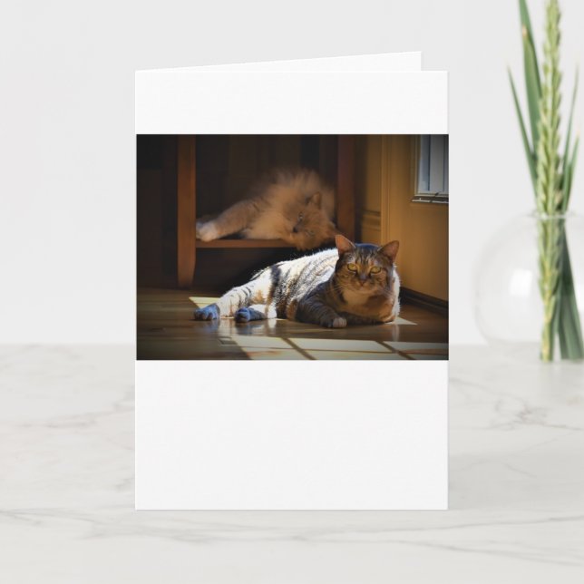 Slow Days, card (Front)