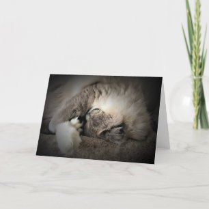 Slow Days, card
