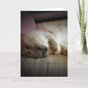 Slow Days, card