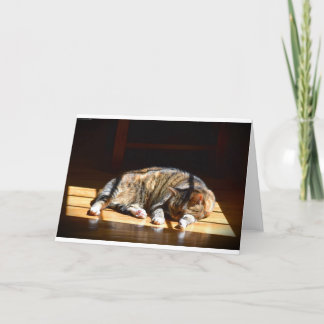 Slow Days, card