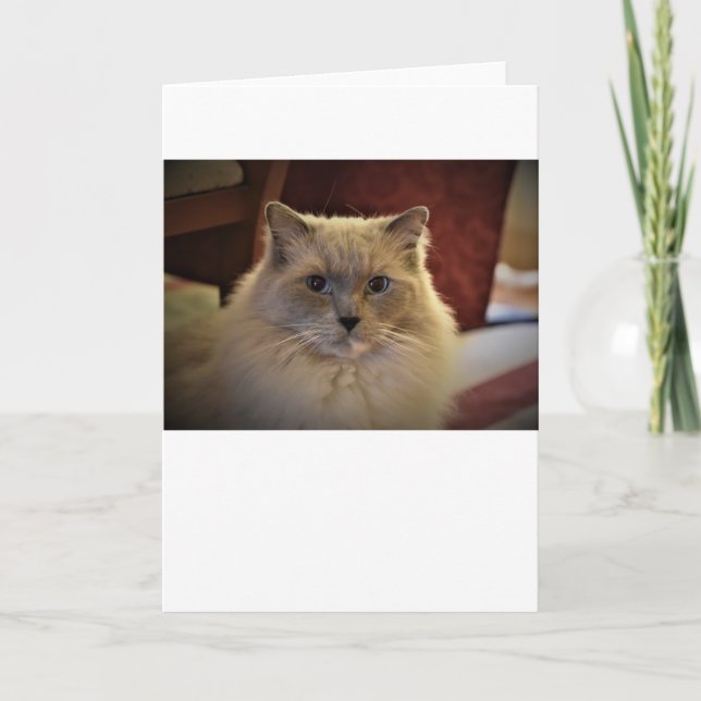 Slow Days, card (Front)